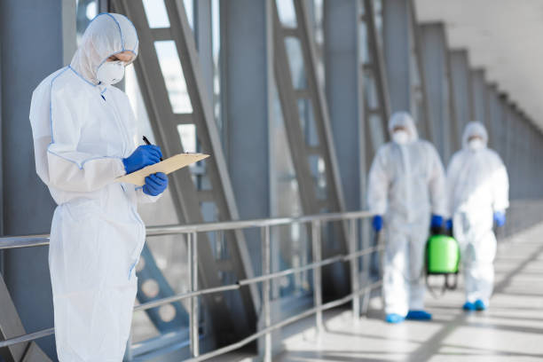 South Dennis, NJ Mold Removal Pros
