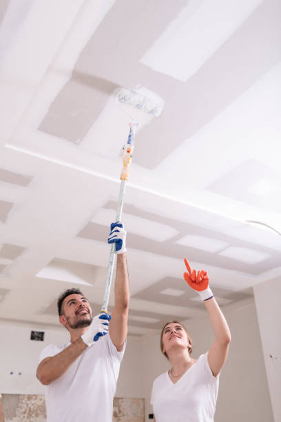 Best Mold Odor Removal Services  in South Dennis, NJ