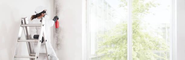 Best Mold Remediation for Rental Properties  in South Dennis, NJ