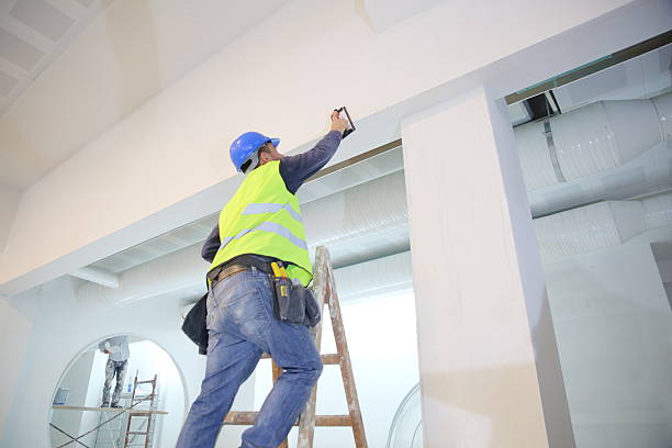 Best Emergency Mold Remediation  in South Dennis, NJ