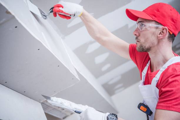 Best Mold Documentation for Insurance Claims  in South Dennis, NJ