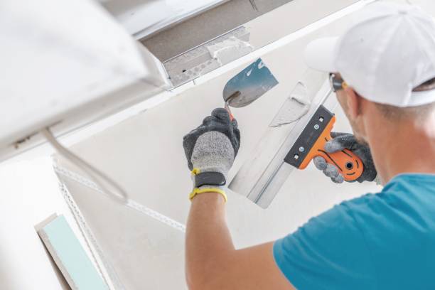 Best Airborne Mold Testing  in South Dennis, NJ